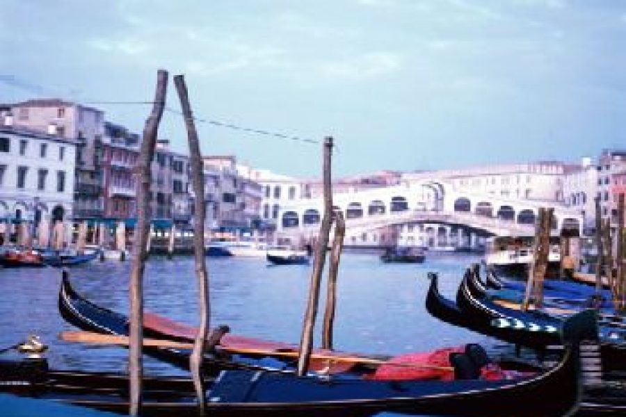 Excursion to Venice from Rimini